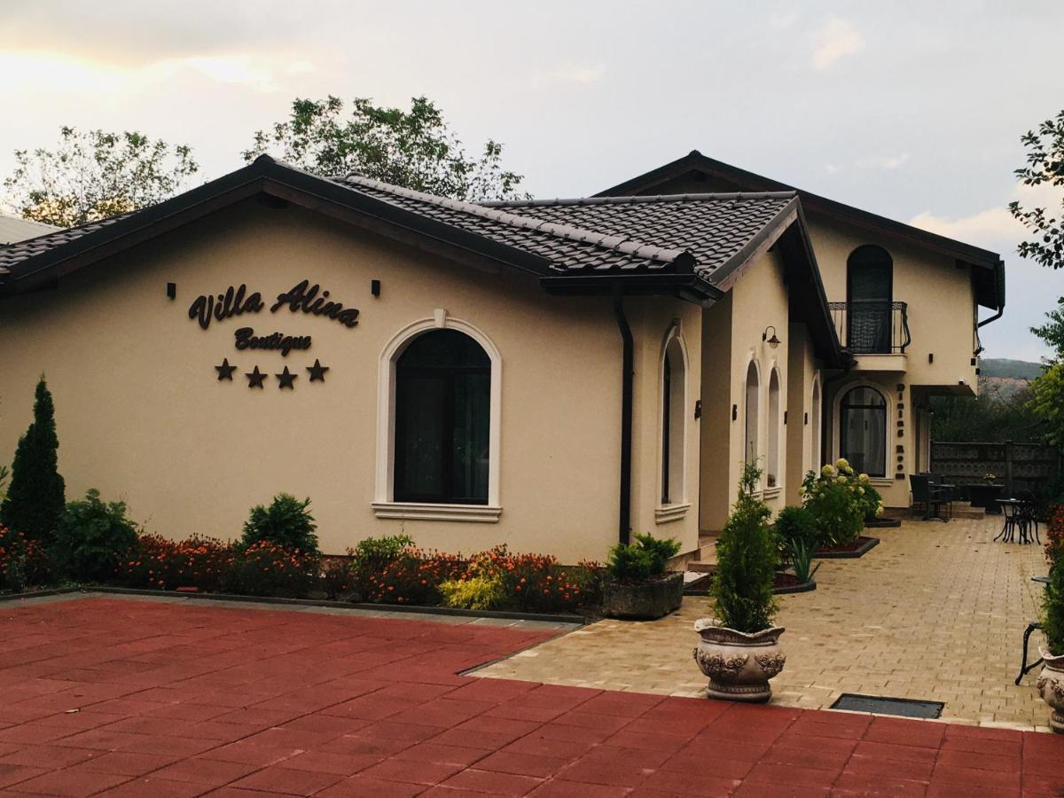 Villa Boutique Alina Deva Zewnętrze zdjęcie