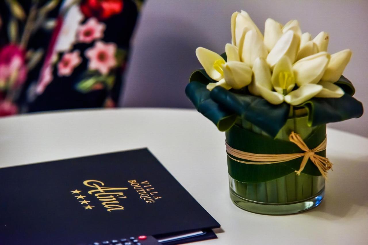 Villa Boutique Alina Deva Zewnętrze zdjęcie